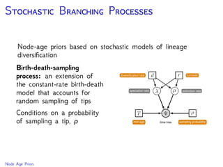 S B P
Node-age priors based on stochastic models of lineage
diversiﬁcation
Birth-death-sampling
process: an extension of
the constant-rate birth-death
model that accounts for
random sampling of tips
Conditions on a probability
of sampling a tip, ρ
Node Age Priors
 