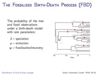 T F B-D P (FBD)
The probability of the tree
and fossil observations
under a birth-death model
with rate parameters:
λ = speciation
μ = extinction
ψ = fossilization/recovery
150 100 50 0
Time
Diversiﬁcation of Fossil & Extant Lineages (Heath, Huelsenbeck, Stadler. PNAS 2014)
 
