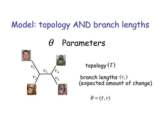Model: topology AND branch lengths
θ Parameters
topology )(τ
branch lengths )( iv
A
B
3v
C
D
2v
1v
4v
5v
(expected amount of change)
),( vτθ =
 