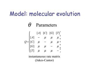 Model: molecular evolution
θ Parameters
instantaneous rate matrix
(Jukes-Cantor)
Q =
[A] [C] [G] [T]
[A] − µ µ µ
[C] µ − µ µ
[G] µ µ − µ
[T] µ µ µ −









÷
÷
÷
÷
÷÷
 