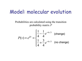 Model: molecular evolution
Probabilities are calculated using the transition
probability matrix P
4 /3
4 /3
1 1
4 4( )
1 3
4 4
v
Qv
v
e
P v e
e
−
−

−
= = 
 +

(change)
(no change)
 