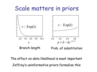 4 /3v
p k ke−
= −v
Exp(1)v :
Exp(1)v :
The effect on data likelihood is most important
Jeffrey’s uninformative priors formalize this
Branch length Prob. of substitution
Scale matters in priors
 