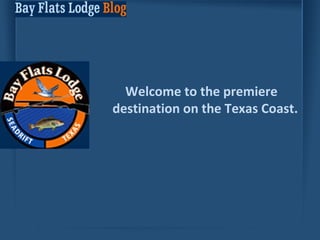 Welcome to the premiere destination on the Texas Coast. 