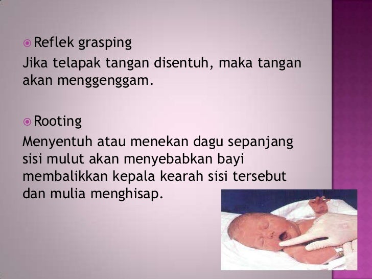 Bayi Baru Lahir Normal Ppt