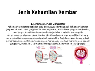 Jenis Kehamilan Kembar
1. Kehamilan Kembar Monozigotik
Kehamilan kembar monozigotik atau disebut juga identik adalah kehamilan kembar
yang terjadi dari 1 telur yang dibuahi oleh 1 sperma. Untuk alasan yang tidak diketahui,
telur yang sudah dibuahi membelah menjadi dua atau lebih embrio pada
perkembangan tahap pertama. Kembar identik pada umumnya memiliki ari-ari yang
sama tetapi kantung amnion yang terpisah pada rahim. Pada kasus yang jarang terjadi,
kembar identik memiliki 1 kantung amnion. Kedua anak tersebut memiliki jenis kelamin
yang sama, rupa sama, sidik jari dan telapak sama. Kehamilan ini jarang terjadi
 