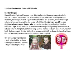 2. Kehamilan Kembar Fraternal (Dizigotik)
Kembar Dizigot
Dizigotik, atau fraternal, kembar yang ditimbulkan dari dua ovum yang terpisah.
Kembar dizigotik terjadi dua kali lebih sering daripada kembar monozigotik dan
insidennya dipengaruhi oleh sejumlah faktor antara lain yaitu ras, riwayat keluarga,
usia maternal, paritas, nutrisi dan terapi infertilitas. Kembar non-identik berasal
dari dua sel sperma dan dua sel telur yg masing-masing mengalami pembuahan
menjadi 2 zigot. Pada manusia, proses ovulasi kadang-kadang melepaskan lebih dari
satu sel telur matang ke tuba fallopi yang apabila mereka terbuahi akan memunculkan
lebih dari satu zigot. Kembar dizigotik secara genetik tidak berbeda dari saudara biasa
dan berkembang dalam amnion dan plasenta yang terpisah.
Ciri-ciri kembar non identik
- Jenis kelamin bisa berbeda
- Golongan darah bisa berbeda
- Wajah tidak begitu mirip
 
