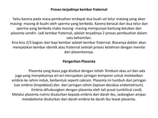 Proses terjadinya kembar fraternal
Yaitu karena pada masa pembuahan terdapat dua buah sel telur matang yang akan
masing- masing di buahi oleh sperma yang berbeda. Karena berasal dari dua telur dan
sperma yang berbeda maka masing- masing mempunyai kantung ketuban dan
plasenta sendiri. Jadi kembar fraternal, adalah terjadinya 2 proses pembuahan dalam
satu kehamilan.
Kira-kira 2/3 bagian dari bayi kembar adalah kembar fraternal. Biasanya dokter akan
menyatakan kembar identik atau fraternal setelah proses kelahiran dengan menilai
dari plasentannya.
Pengertian Plasenta
Plasenta yang biasa juga disebut dengan istilah Tembuni atau uri dan ada
juga yang menyebutnya ari-ari merupakan jaringan temporer untuk melekatkan
embrio ke rahim induk, berbentuk seperti cakram. Plasenta ini tumbuh dari jaringan
luar embrio (tropoblast) dan dari jaringan rahim (lapisan decidua endometrium).
Embrio dihubungkan dengan plasenta oleh tali pusat (umbilical cord).
Melalui plasenta nutrisi disalurkan kepada embrio dari darah ibu, sedangkan ampas
metabolisme disalurkan dari darah embrio ke darah ibu lewat plasenta.
 