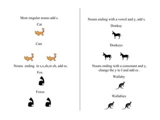 Most singular nouns add s. Cat Cats  Nouns  ending  in s,x,sh,or ch, add es. Fox  Foxes  Nouns ending with a vowel and y, add s. Donkey  Donkeys  Nouns ending with a consonant and y, change the y to I and add es . Wallaby  Wallabies  