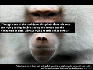 “Though none of the traditional disciplines does this, one
can trying seeing double: seeing the human and the
nonhuman at once, without trying to strip either away.”
Pickering, A. (2005). Asian eels and global warming: a posthumanist perspective on society
and the environment. Ethics and the Environment, 10(2), 29-43.
 