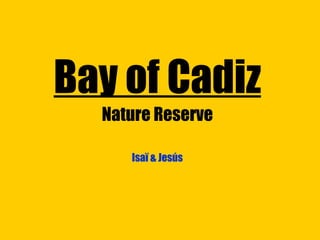 Bay of Cadiz Nature Reserve Isaï & Jesús 