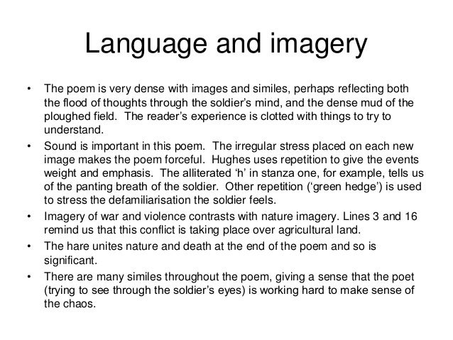 Essay bayonet charge