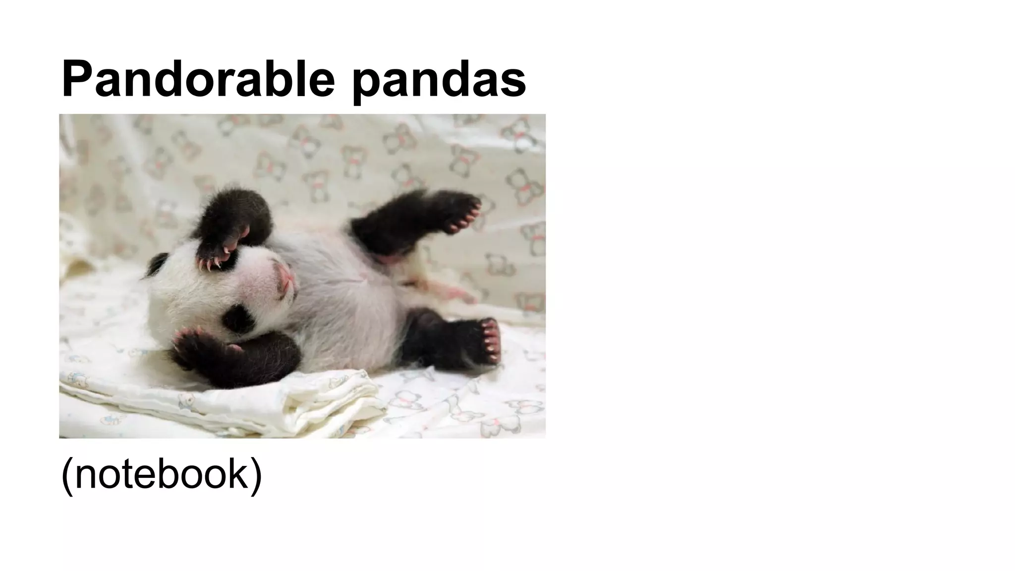 Pandorable pandas 
(notebook) 
 