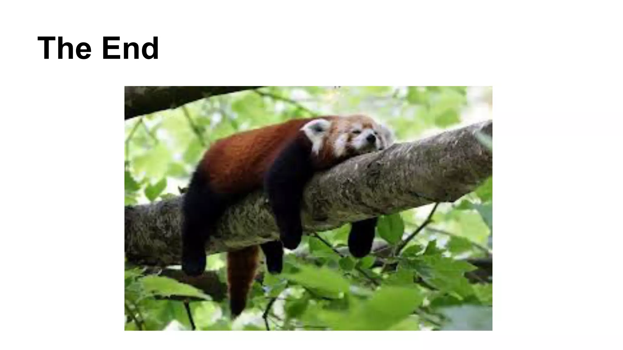 The End 
