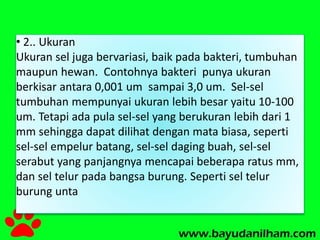 • 2.. Ukuran 
Ukuran sel juga bervariasi, baik pada bakteri, tumbuhan 
maupun hewan. Contohnya bakteri punya ukuran 
berkisar antara 0,001 um sampai 3,0 um. Sel-sel 
tumbuhan mempunyai ukuran lebih besar yaitu 10-100 
um. Tetapi ada pula sel-sel yang berukuran lebih dari 1 
mm sehingga dapat dilihat dengan mata biasa, seperti 
sel-sel empelur batang, sel-sel daging buah, sel-sel 
serabut yang panjangnya mencapai beberapa ratus mm, 
dan sel telur pada bangsa burung. Seperti sel telur 
burung unta 
 