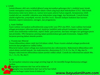 3. Lemak 
Lemak disusun oleh satu molekul gliserol yang merupakan gabungan dari 3 molekul asam lemak. 
Lemak merupakan senyawa biokimia dalam tubuh yang kaya akan hidrokarbon (CH2). Sifat lemak 
diantaranya tidak larut dalam air, namun larut pada pelarut bahan organik, kerapatannya lebih 
rendah dari air, memiliki viskositas atau kekentalan yang tinggi, dan berminyak. Contoh lemak 
adalah trigliserida, pospolipid, steroid, dan lilin (wax). Steroid meliputi kolestrol dan hormon 
kelamim, seperti testestoren, estrogen, dan progesteron. 
4. Asam Nukleat 
Asam nukleat merupakan polinukleotida yang terdiri atas DNA dan RNA. Asam nukleat bertindak 
sebagai penyimpan informasi pada sel, layaknya harddisk pada sebuah komputer. Asam nukleat 
terdiri atas nukleotida-nukleotida, seperti fosfat, gula pentosa, dan basa nitrogen dari golongan purin 
dan pirimidin. DNA berperan penting dalam pembentukan gen pada kromosom. Adapun RNA 
berperan penting dalam sintesis protein. 
5. Vitamin dan Mineral 
Vitami dibutuhkan dalam julah kecil di dalam tubuh. Peran vitamin adalaah sebagai pembentuk 
koenzim dan penghancur radikal bebas. 
Mineral di dalam tubuh terbagi atas makronutrien dan mikronutrien. Makronutrin dibutuhkan oleh 
tubuh dalam jumlah banyak. Ion makronutrien, diantaranya N, P, S, K, Ca, Na, Cl, Mg, dan Fe. 
Adapun mikronutrien dibutuhkan dalam jumlah sedikit sekali. Contoh ion mikronutrien adalah Mn, 
Cu, I, Co, Zn, Bo, dan F. 
6. Air 
Air merupakan senyawa yang sangat penting bagi sel. Air memiliki fungsi diantaranya sebagai 
berikut. 
Mengangkut makanan dari luar sel ke dalam sel 
Mengangkut sisa metabolisme dari luar sel ke luar tubuh 
Medium berbagai reaksi kimia di dalam sel 
 