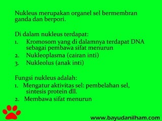 Nukleus merupakan organel sel bermembran 
ganda dan berpori. 
Di dalam nukleus terdapat: 
1. Kromosom yang di dalamnya terdapat DNA 
sebagai pembawa sifat menurun 
2. Nukleoplasma (cairan inti) 
3. Nukleolus (anak inti) 
Fungsi nukleus adalah: 
1. Mengatur aktivitas sel: pembelahan sel, 
sintesis protein dll. 
2. Membawa sifat menurun 
 