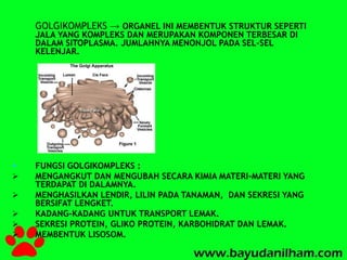 GOLGIKOMPLEKS → ORGANEL INI MEMBENTUK STRUKTUR SEPERTI 
JALA YANG KOMPLEKS DAN MERUPAKAN KOMPONEN TERBESAR DI 
DALAM SITOPLASMA. JUMLAHNYA MENONJOL PADA SEL-SEL 
KELENJAR. 
 FUNGSI GOLGIKOMPLEKS : 
 MENGANGKUT DAN MENGUBAH SECARA KIMIA MATERI-MATERI YANG 
TERDAPAT DI DALAMNYA. 
 MENGHASILKAN LENDIR, LILIN PADA TANAMAN, DAN SEKRESI YANG 
BERSIFAT LENGKET. 
 KADANG-KADANG UNTUK TRANSPORT LEMAK. 
 SEKRESI PROTEIN, GLIKO PROTEIN, KARBOHIDRAT DAN LEMAK. 
 MEMBENTUK LISOSOM. 
 