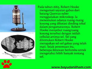 Pada tahun 1665, Robert Hooke 
mengamati sayatan gabus dari 
batang Quercus suber 
menggunakan mikroskop. Ia 
menemukan adanya ruang-ruang 
kosong yang dibatasi dinding tebal 
dalam pengamatannya. Robert 
Hooke menyebut ruangruang 
kosong tersebut dengan istilah 
cellulae artinya sel. Sel yang 
ditemukan Robert Hooke 
merupakan sel-sel gabus yang telah 
mati. Sejak penemuan itu, 
beberapa ilmuwan berlomba untuk 
mengetahui lebih banyak tentang 
sel. 
 
