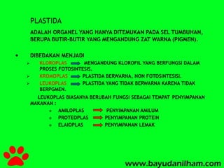 PLASTIDA 
ADALAH ORGANEL YANG HANYA DITEMUKAN PADA SEL TUMBUHAN, 
BERUPA BUTIR-BUTIR YANG MENGANDUNG ZAT WARNA (PIGMEN). 
 DIBEDAKAN MENJADI 
 KLOROPLAS MENGANDUNG KLOROFIL YANG BERFUNGSI DALAM 
PROSES FOTOSINTESIS. 
 KROMOPLAS PLASTIDA BERWARNA, NON FOTOSINTESISI. 
 LEUKOPLAS PLASTIDA YANG TIDAK BERWARNA KARENA TIDAK 
BERPGMEN. 
LEUKOPLAS BIASANYA BERUBAH FUNGSI SEBAGAI TEMPAT PENYIMPANAN 
MAKANAN : 
 AMILOPLAS PENYIMPANAN AMILUM 
 PROTEOPLAS PENYIMPANAN PROTEIN 
 ELAIOPLAS PENYIMPANAN LEMAK 
 