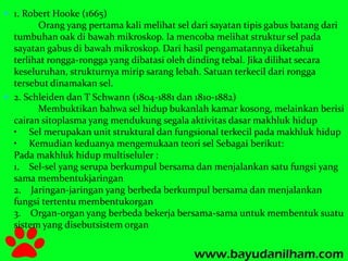  1. Robert Hooke (1665) 
Orang yang pertama kali melihat sel dari sayatan tipis gabus batang dari 
tumbuhan oak di bawah mikroskop. Ia mencoba melihat struktur sel pada 
sayatan gabus di bawah mikroskop. Dari hasil pengamatannya diketahui 
terlihat rongga-rongga yang dibatasi oleh dinding tebal. Jika dilihat secara 
keseluruhan, strukturnya mirip sarang lebah. Satuan terkecil dari rongga 
tersebut dinamakan sel. 
 2. Schleiden dan T Schwann (1804-1881 dan 1810-1882) 
Membuktikan bahwa sel hidup bukanlah kamar kosong, melainkan berisi 
cairan sitoplasma yang mendukung segala aktivitas dasar makhluk hidup 
• Sel merupakan unit struktural dan fungsional terkecil pada makhluk hidup 
• Kemudian keduanya mengemukaan teori sel Sebagai berikut: 
Pada makhluk hidup multiseluler : 
1. Sel-sel yang serupa berkumpul bersama dan menjalankan satu fungsi yang 
sama membentukjaringan 
2. Jaringan-jaringan yang berbeda berkumpul bersama dan menjalankan 
fungsi tertentu membentukorgan 
3. Organ-organ yang berbeda bekerja bersama-sama untuk membentuk suatu 
sistem yang disebutsistem organ 
 