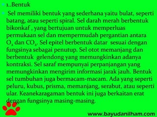  1..Bentuk 
 Sel memiliki bentuk yang sederhana yaitu bulat, seperti 
batang, atau seperti spiral. Sel darah merah berbentuk 
bikonkaf , yang bertujuan untuk memperluas 
permukaan sel dan mempermudah pergantian antara 
O2 dan CO2. Sel epitel berbentuk datar sesuai dengan 
fungsinya sebagai penutup. Sel otot memanjang dan 
berbentuk gelendong yang memungkinkan adanya 
kontraksi. Sel saraf mempunyai perpanjangan yang 
memungkinkan mengirim informasi jarak jauh. Bentuk 
sel tumbuhan juga bermacam-macam. Ada yang seperti 
peluru, kubus, prisma, memanjang, serabut, atau seperti 
ular. Keanekaragaman bentuk ini juga berkaitan erat 
dengan fungsinya masing-masing. 
 