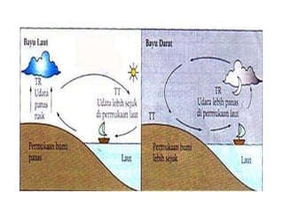 Bayu laut