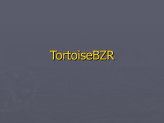 TortoiseBZR 