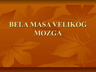 BELA MASA VELIKOGBELA MASA VELIKOG
MOZGAMOZGA
 
