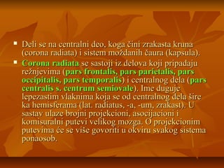  Deli se na centralni deo, koga čini zrakasta krunaDeli se na centralni deo, koga čini zrakasta kruna
(corona radiata) i sistem moždanih čaura (kapsula).(corona radiata) i sistem moždanih čaura (kapsula).
 Corona radiataCorona radiata se sastoji iz delova koji pripadajuse sastoji iz delova koji pripadaju
režnjevima (režnjevima (pars frontalis, pars parietalis, parspars frontalis, pars parietalis, pars
occipitalis, pars temporalisoccipitalis, pars temporalis) i centralnog dela () i centralnog dela (parspars
centralis s. centrum semiovalecentralis s. centrum semiovale). Ime duguje). Ime duguje
lepezastim vlaknima koja se od centralnog dela širelepezastim vlaknima koja se od centralnog dela šire
ka hemisferama (lat. radiatus, -a, -um, zrakast). Uka hemisferama (lat. radiatus, -a, -um, zrakast). U
sastav ulaze brojni projekcioni, asocijacioni isastav ulaze brojni projekcioni, asocijacioni i
komisuralni putevi velikog mozga. O projekcionimkomisuralni putevi velikog mozga. O projekcionim
putevima će se više govoriti u okviru svakog sistemaputevima će se više govoriti u okviru svakog sistema
ponaosob.ponaosob.
 