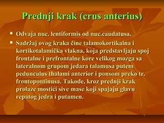 Prednji krak (crus anterius)Prednji krak (crus anterius)
 OOdvaja nuc. lentiformis od nuc.caudatusa.dvaja nuc. lentiformis od nuc.caudatusa.
 Sadržaj ovog kraka čine talamokortikalna iSadržaj ovog kraka čine talamokortikalna i
kortikotalamička vlakna, koja predstavljaju spojkortikotalamička vlakna, koja predstavljaju spoj
frontalne i prefrontalne kore velikog mozga safrontalne i prefrontalne kore velikog mozga sa
lateralnom grupom jedara talamusa putemlateralnom grupom jedara talamusa putem
pedunculus thalami anterior i ponsom preko tr.pedunculus thalami anterior i ponsom preko tr.
frontopontinusa. Takođe, kroz prednji krakfrontopontinusa. Takođe, kroz prednji krak
prolaze mostići sive mase koji spajaju glavuprolaze mostići sive mase koji spajaju glavu
repatog jedra i putamen.repatog jedra i putamen.
 