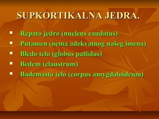 SUPKORTIKALNA JEDRA.SUPKORTIKALNA JEDRA.
 Repato jedro (nucleus caudatus)Repato jedro (nucleus caudatus)
 Putamen (nema adekvatnog našeg imena)Putamen (nema adekvatnog našeg imena)
 Bledo telo (globus pallidus)Bledo telo (globus pallidus)
 Bedem (claustrum)Bedem (claustrum)
 Bademasto telo (corpus amygdaloideum)Bademasto telo (corpus amygdaloideum)
 
