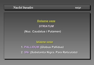 Dolazne vezeDolazne veze
STRIATUMSTRIATUM
(Nuc. Caudatus(Nuc. Caudatus ii Putamen)Putamen)
Izlazne vezeIzlazne veze
1.1. PALLIDUMPALLIDUM (Globus Pallidus)(Globus Pallidus)
2.2. SNrSNr (Substantia Nigra, Pars Reticulata)(Substantia Nigra, Pars Reticulata)
Nuclei basales vezeNuclei basales veze
 
