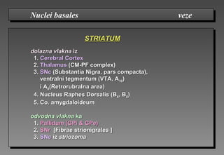 STRIATUMSTRIATUM
dolazna vlaknadolazna vlakna iziz
1.1. Cerebral CortexCerebral Cortex
2.2. ThalamusThalamus (CM-PF complex)(CM-PF complex)
3.3. SNcSNc (Substantia Nigra, pars compacta),(Substantia Nigra, pars compacta),
ventralniventralni ttegmentegmentumum (VTA, A(VTA, A1010))
i Ai A88(Retrorubral(Retrorubralna ana area)rea)
4. Nucleus Raphe4. Nucleus Raphess DorsalDorsalisis (B(B66, B, B88))
5.5. Co. aCo. amygdaloidmygdaloideumeum
odvodna vlaknaodvodna vlakna kaka
1.1. Pallidum (GPi & GPe)Pallidum (GPi & GPe)
2.2. SNrSNr [[FFibraeibrae sstrionigraltrionigraleses ]]
3.3. SNcSNc iziz striostriozzomomaa
Nuclei basales vezeNuclei basales veze
 