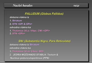 PALLIDUM (Globus Pallidus)PALLIDUM (Globus Pallidus)
dolazna vlaknadolazna vlakna iziz
1.1. StriatumStriatum
2.2. STN <GPi & GPe>STN <GPi & GPe>
odvodna vlaknaodvodna vlakna kaka
1.1. Thalamus (VLo, VApc, CM) <GPi>Thalamus (VLo, VApc, CM) <GPi>
2.2. STN <GPe>STN <GPe>
SNr (Substantia Nigra, Pars Reticulata)SNr (Substantia Nigra, Pars Reticulata)
dolazna vlakna izdolazna vlakna iz StriatumStriatum
odvodna vlakna kaodvodna vlakna ka
1.1. Thalamus (VLm, VAmc, MD)Thalamus (VLm, VAmc, MD)
2.2. JEDRA MOŽDANOG STABLAJEDRA MOŽDANOG STABLA: Tectum &: Tectum &
NucleusNucleus ppedunculopontinedunculopontinusus (PPN)(PPN)
Nuclei basales vezeNuclei basales veze
 