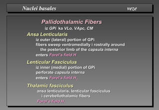 Pallidothalamic FibersPallidothalamic Fibers
iziz GPiGPi kaka VLo, VApc, CMVLo, VApc, CM
Ansa LenticularisAnsa Lenticularis
iz outer (lateral) portion of GPiiz outer (lateral) portion of GPi
fibers sweep ventromedially i rostrally aroundfibers sweep ventromedially i rostrally around
the posterior limb of thethe posterior limb of the capsula internacapsula interna
entersenters Forel’s field HForel’s field H
Lenticular FasciculusLenticular Fasciculus
iz inner (medial) portion of GPiiz inner (medial) portion of GPi
perforateperforate capsula internacapsula interna
entersenters Forel’s field HForel’s field H22
Thalamic fasciculusThalamic fasciculus
ansa lenticularis, lenticular fasciculusansa lenticularis, lenticular fasciculus
i cerebellothalamic fibersi cerebellothalamic fibers
Forel’s field HForel’s field H11
Nuclei basales vezeNuclei basales veze
 