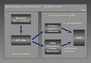 Nuclei basales (Nuclei basales (moždano stablo -moždano stablo - odvodna vlakna)odvodna vlakna)
vezeveze
Nuclei basales (Nuclei basales (moždano stablo -moždano stablo - odvodna vlakna)odvodna vlakna)
vezeveze
PPNPPN
((lokomotornilokomotorni
PredeoPredeo
Mesenceph.Mesenceph.))
TectumTectum
(superior(superior
colliculus)colliculus)
GPi, SNrGPi, SNr
StriatumStriatum
(Nuc. Caudatus)(Nuc. Caudatus)
DMNDMN
via formatiovia formatio
reticularreticularisis
Tr. tectospinalisTr. tectospinalis
Nuclei basalesNuclei basales
Truncus cerebri et MSTruncus cerebri et MS
 