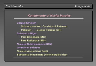 Komponente ofKomponente of Nuclei basalesNuclei basales
Corpus StriatumCorpus Striatum
Striatum ----- Nuc. Caudatus & PutamenStriatum ----- Nuc. Caudatus & Putamen
Pallidum ----- Globus Pallidus (GP)Pallidum ----- Globus Pallidus (GP)
Substantia NigraSubstantia Nigra
Pars Compacta (SNc)Pars Compacta (SNc)
Pars Reticulata (SNr)Pars Reticulata (SNr)
Nucleus SubthalamicNucleus Subthalamicusus (STN)(STN)
ventralniventralninini sstriatumtriatum
Nucleus Accumbens SeptiNucleus Accumbens Septi
Substantia InnominataSubstantia Innominata (neholinergički deo)(neholinergički deo)
Nuclei basales KomponenteNuclei basales KomponenteNuclei basales KomponenteNuclei basales Komponente
 