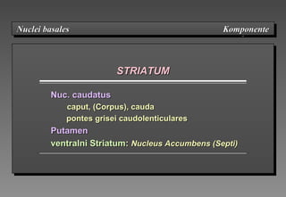 STRIATUMSTRIATUM
Nuc.Nuc. ccaudatusaudatus
caput, (Corpus), caudacaput, (Corpus), cauda
pontes grisei caudolenticularespontes grisei caudolenticulares
PutamenPutamen
ventralni Striatumventralni Striatum:: Nucleus Accumbens (Septi)Nucleus Accumbens (Septi)
Nuclei basales KomponenteNuclei basales KomponenteNuclei basales KomponenteNuclei basales Komponente
 