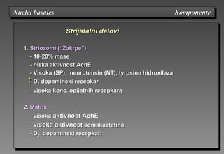 Strijatalni deloviStrijatalni delovi
1.1. StrioStriozzomomii ((“Zakrpe”“Zakrpe”))
- 10-20%- 10-20% masemase
-- niska aktivnostniska aktivnost AchEAchE
-- VisokaVisoka (SP), neurotensin (NT), tyrosine h(SP), neurotensin (NT), tyrosine hiidroxdroxiilalazaza
- D- D11 dopamindopaminskiski recepkarrecepkar
-- visoka konc.visoka konc. opiopijatnihjatnih recepkarrecepkaraa
2.2. MatrixMatrix
-- visokavisoka aktivnostaktivnost AchEAchE
-- visokavisoka aktivnostaktivnost somakastatisomakastatinana
- D- D22 dopamindopaminskiski recepkarrecepkarii
Nuclei basales KomponenteNuclei basales KomponenteNuclei basales KomponenteNuclei basales Komponente
 