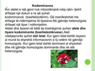 Bazat e gjenetikes moderne | PPTX