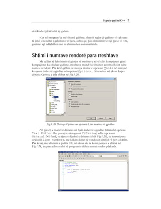 Bazat e programimit ne C++ (agni dika) | PDF
