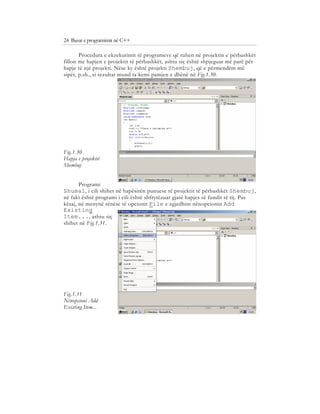 Bazat e programimit ne C++ (agni dika) | PDF