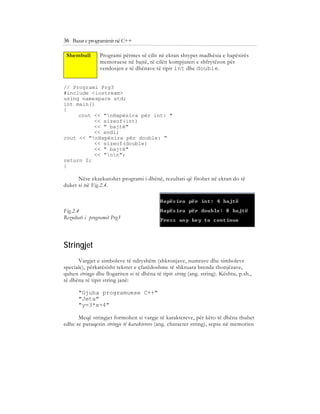Bazat e programimit ne C++ (agni dika) | PDF