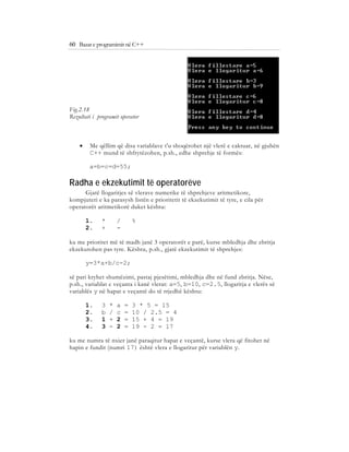 Bazat e programimit ne C++ (agni dika) | PDF