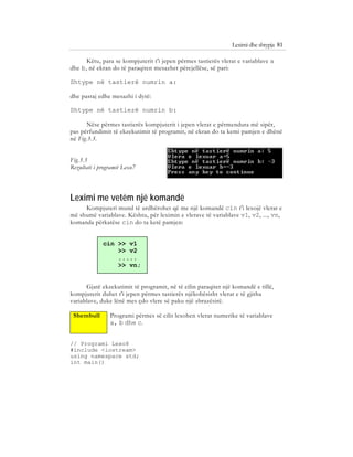 Bazat e programimit ne C++ (agni dika) | PDF