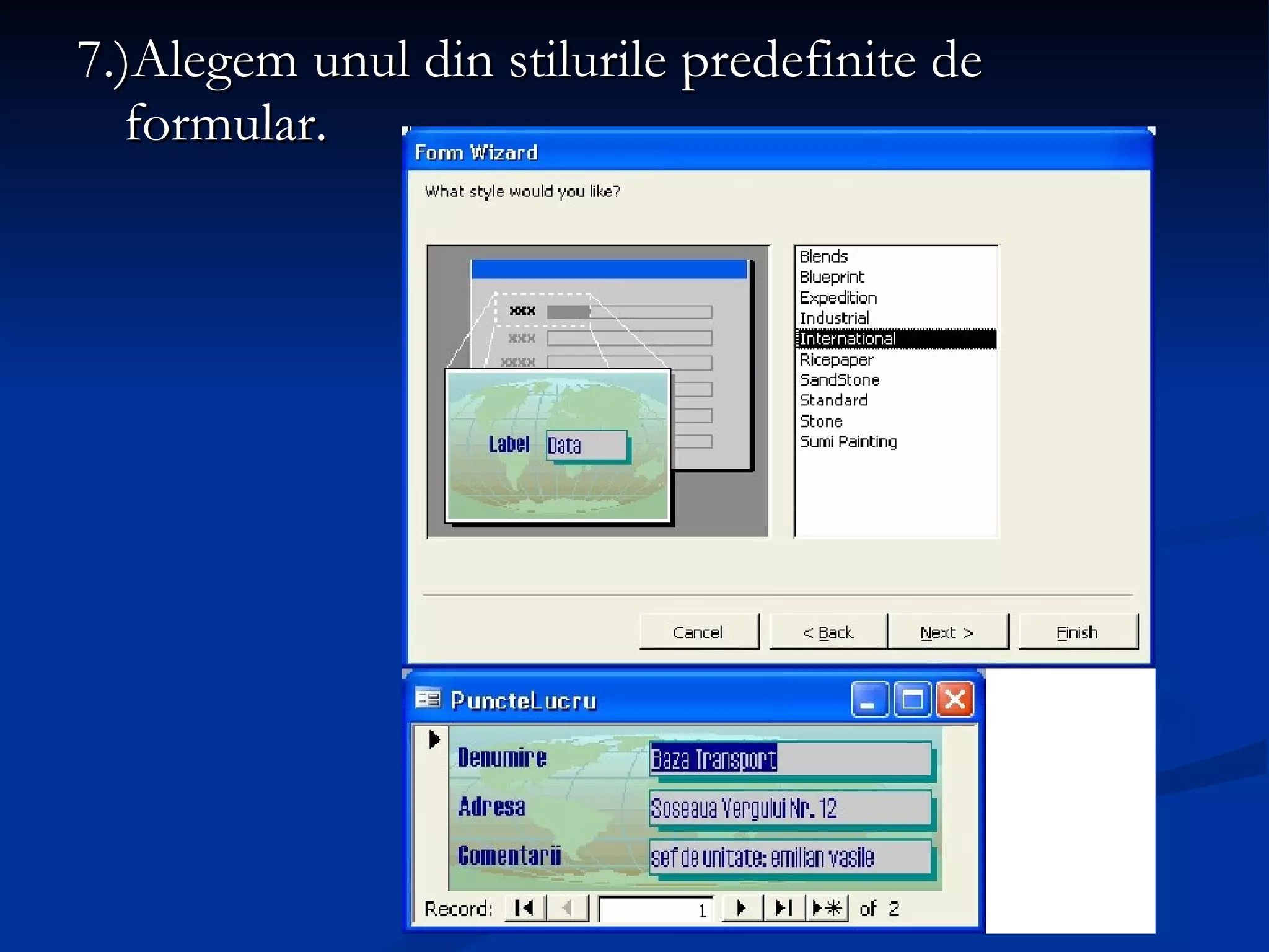 7.)Alegem unul din stilurile predefinite de formular. 