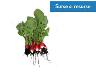 Surse si resurse
 