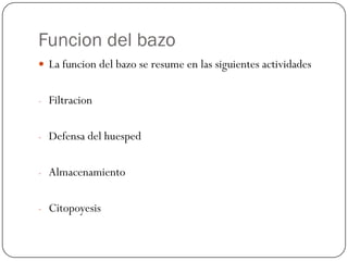 Funcion del bazo
 La funcion del bazo se resume en las siguientes actividades


- Filtracion


- Defensa del huesped


- Almacenamiento


- Citopoyesis
 