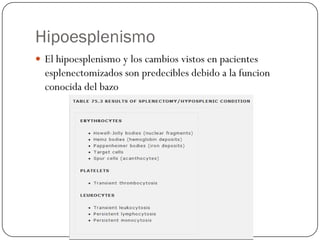 Hipoesplenismo
 El hipoesplenismo y los cambios vistos en pacientes
  esplenectomizados son predecibles debido a la funcion
  conocida del bazo
 