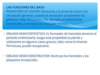∗ LAS FUNCIONES DEL BAZO
RESERVORIO DE SANGRE: Almacena y la envía de nuevo a la
circulación general, cuando es necesario un aumento de
glóbulos rojos circulantes, Por ejemplo, en atmósferas
enrarecidas, o en ejercicio muscular intenso.
∗ ORGANO HEMATOPOYÉTICO: Es formador de hematíes durante el
periodo embrionario, luego esta propiedad se pierde y
solamente en algunos casos graves, tales como la Anemia
Perniciosa, puede recuperarse.
∗ ORGANO HEMATODESTRUCTOR: Destruye los hematíes y las
plaquetas envejecidas.
 